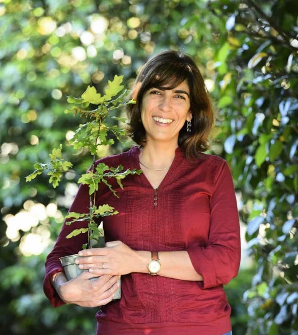 You are currently viewing Mulheres pelo Ambiente: A “semente” que plantou mais de 100 mil árvores